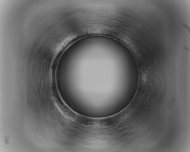 X0000103240678200808281441