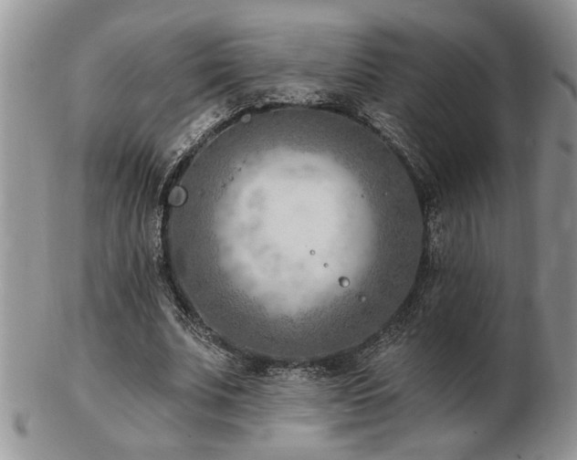 X0000103240679200808281441