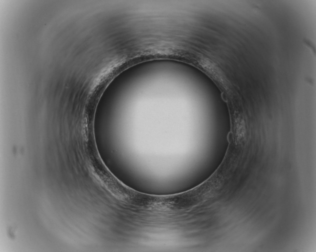 X0000103240680200808281441
