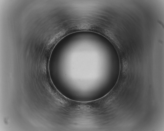 X0000103240681200808281441