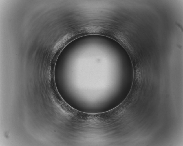 X0000103240682200808281441