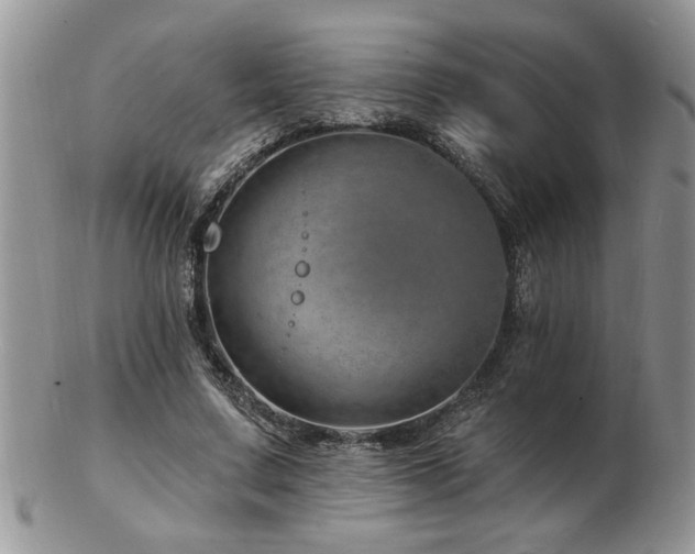 X0000103240683200808281441