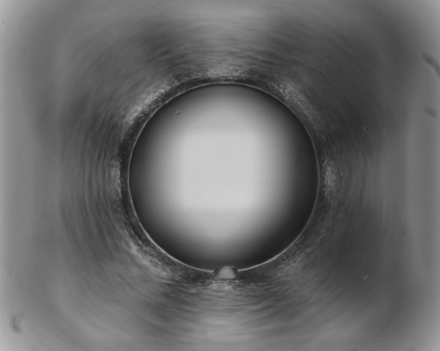 X0000103240684200808281441