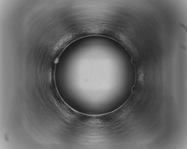 X0000103240685200808281441