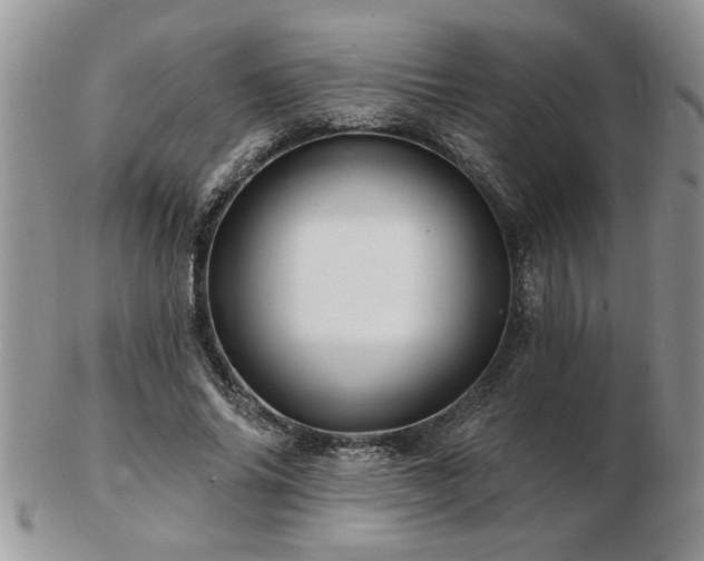 X0000103240686200808281441
