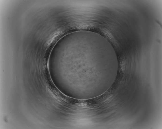 X0000103240687200808281441