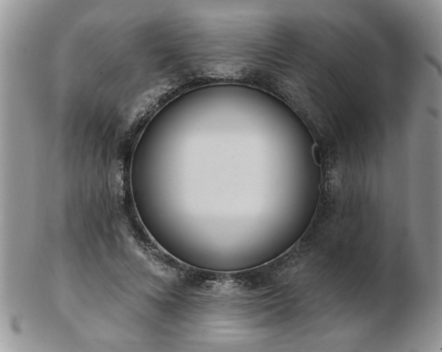 X0000103240688200808281441