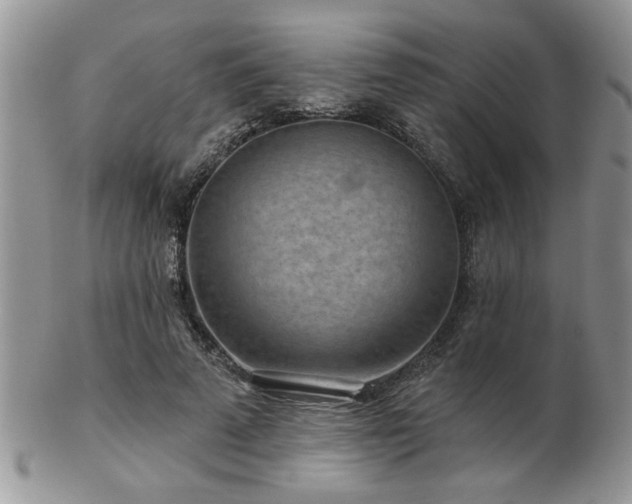 X0000103240689200808281441