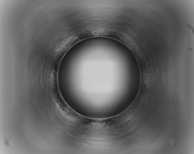 X0000103240690200808281441