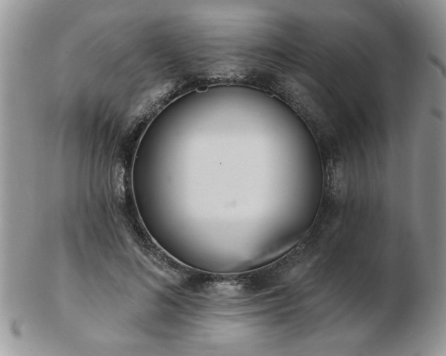 X0000103240692200808281441