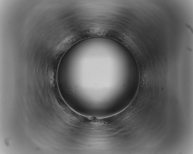 X0000103240693200808281441
