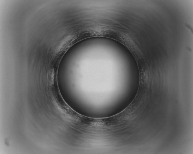 X0000103240694200808281441