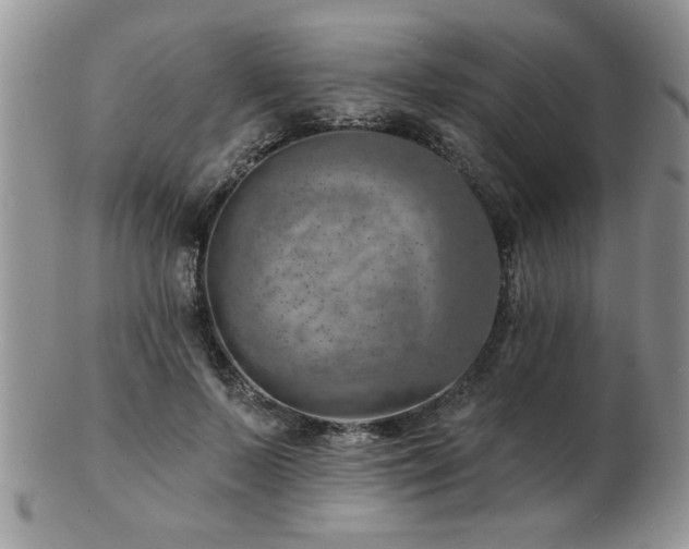 X0000103240695200808281441