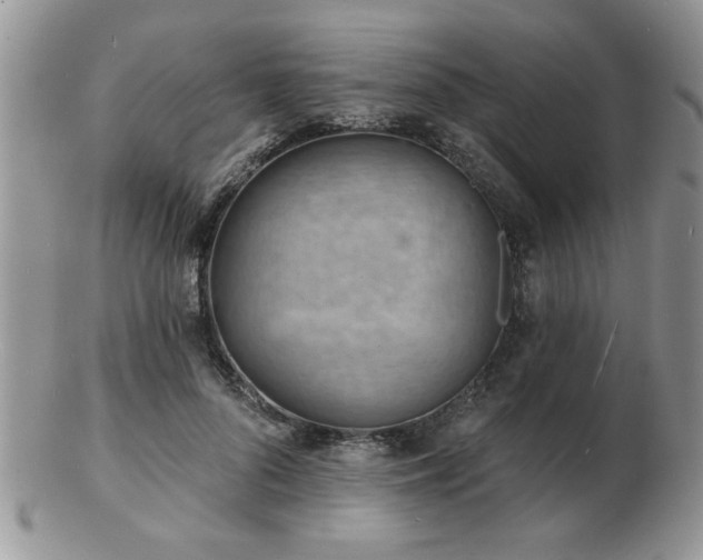 X0000103240696200808281441