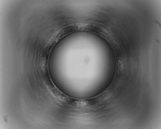 X0000103240698200808281441