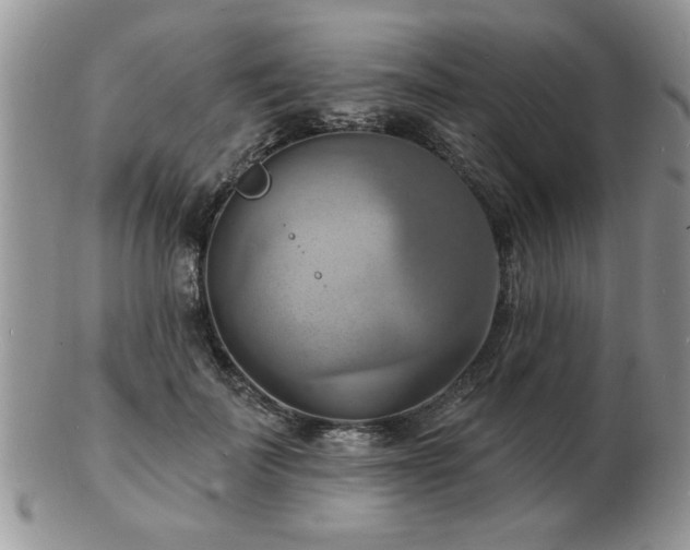 X0000103240699200808281441