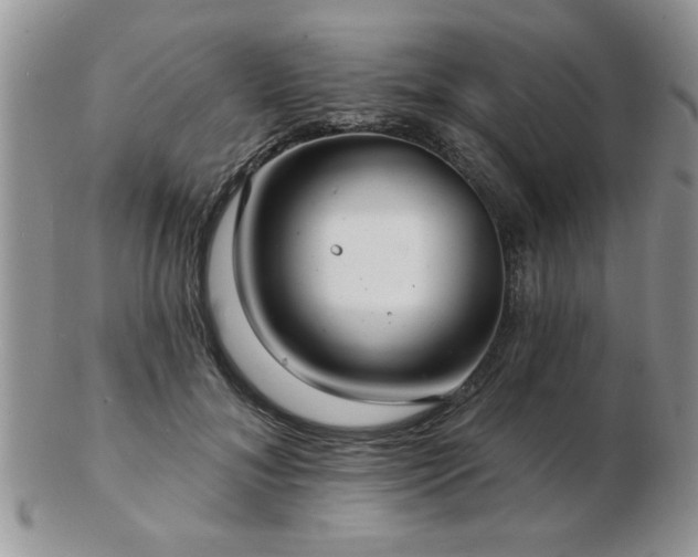 X0000103240700200808281441