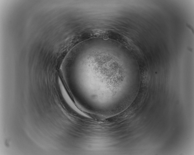 X0000103240703200808281441
