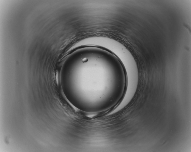 X0000103240704200808281441