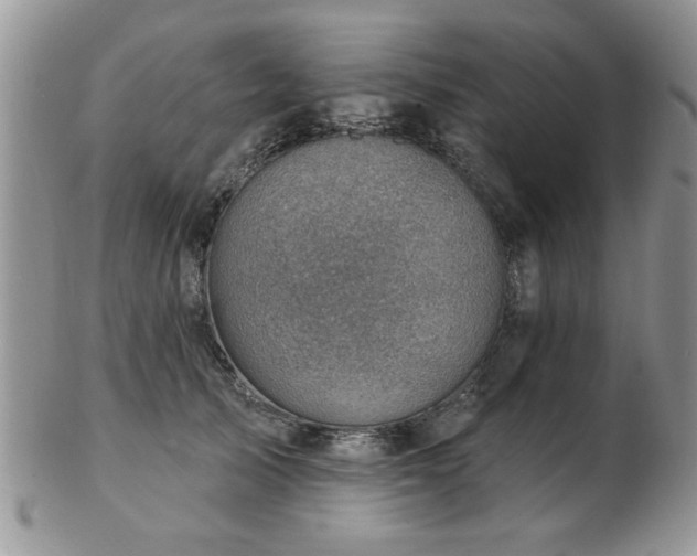 X0000103240705200808281441