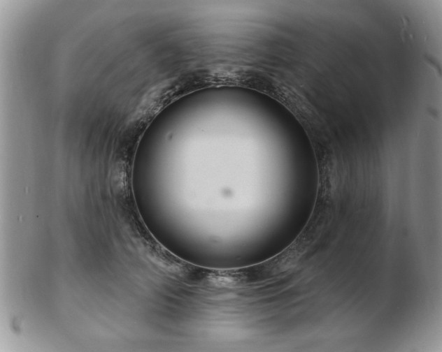 X0000103240706200808281441