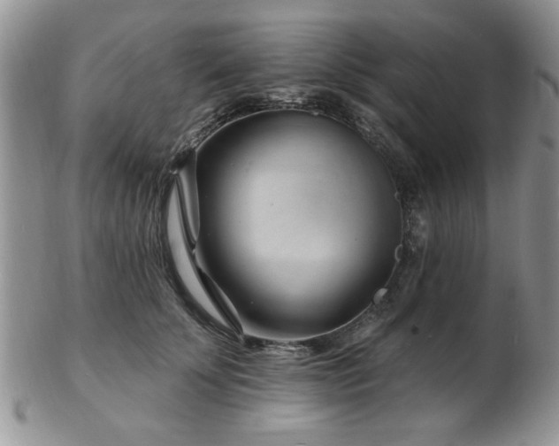 X0000103240707200808281441