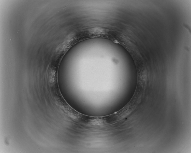 X0000103240708200808281441