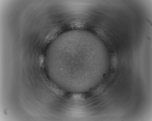 X0000103240709200808281441