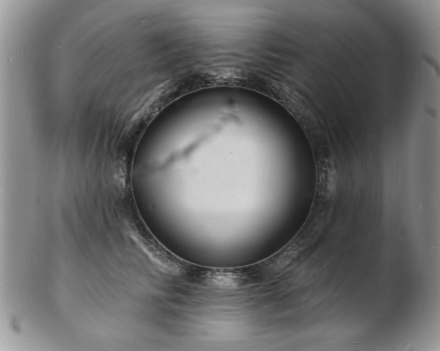X0000103240710200808281441