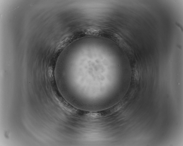 X0000103240711200808281441