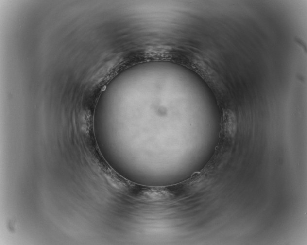 X0000103240712200808281441