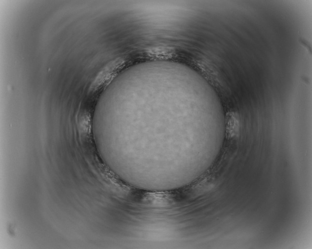 X0000103240713200808281441