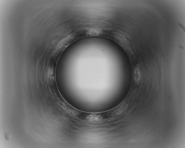 X0000103240714200808281441