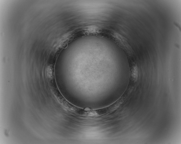 X0000103240715200808281441