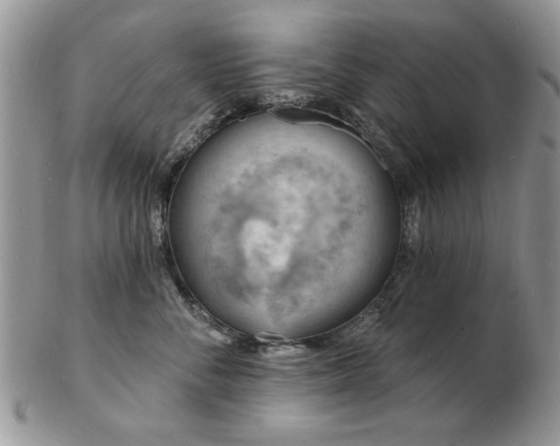 X0000103240716200808281441