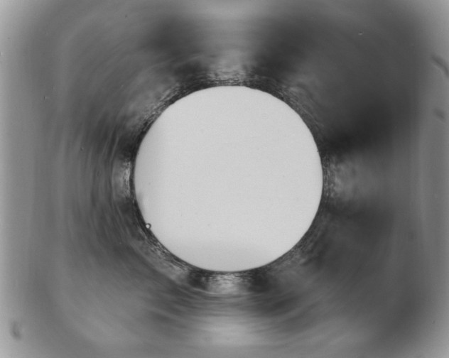 X0000103240717200808281441