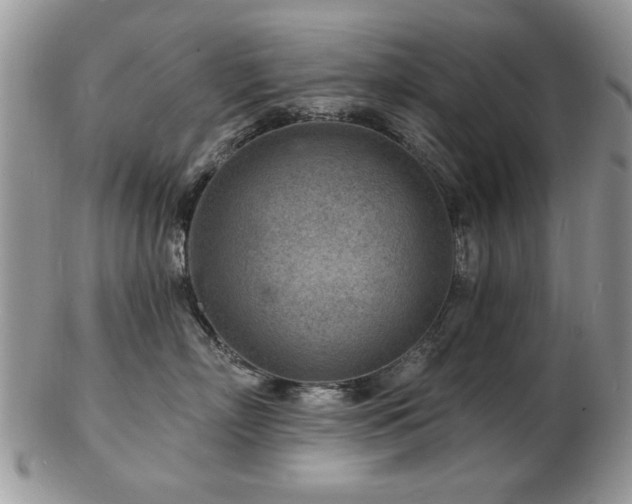 X0000103240718200808281441