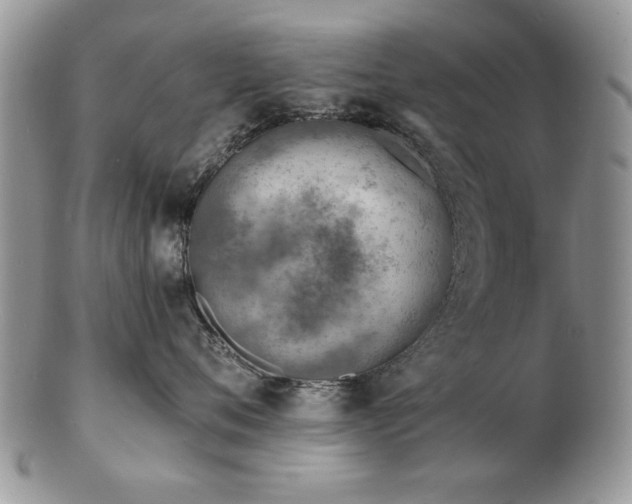 X0000103240720200808281441