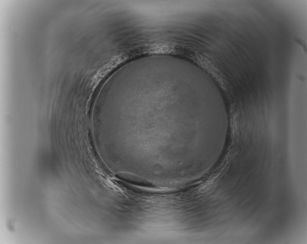 X0000103240721200808281440