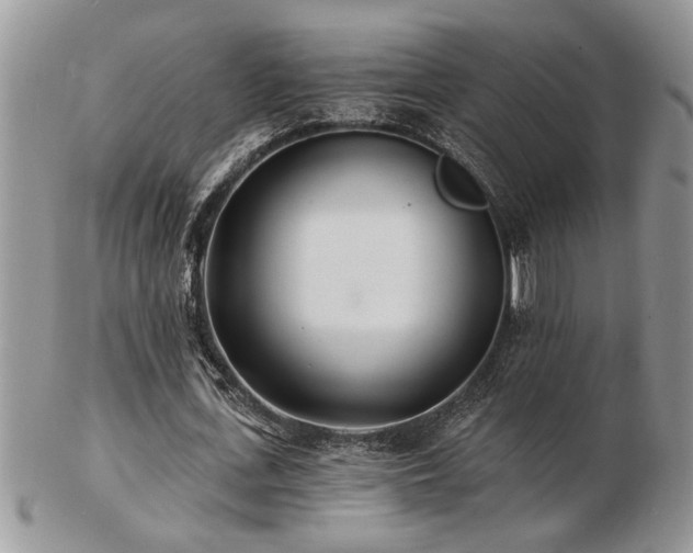 X0000103240723200808281440