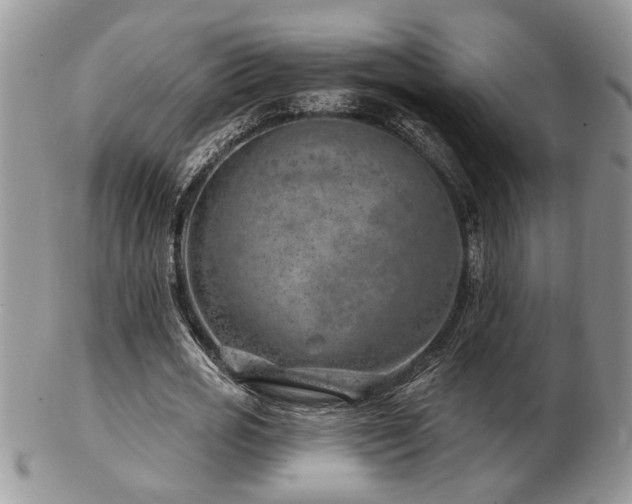 X0000103240725200808281440