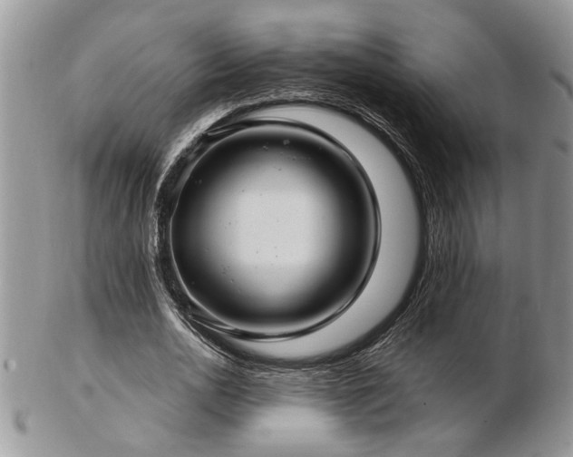 X0000103240726200808281440