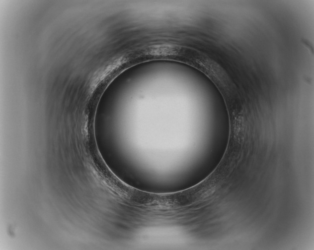 X0000103240727200808281440