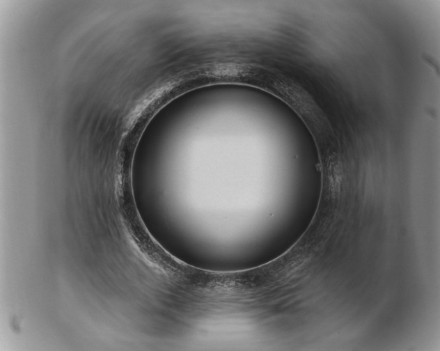 X0000103240728200808281440