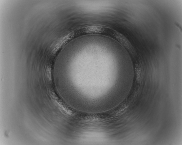 X0000103240729200808281440