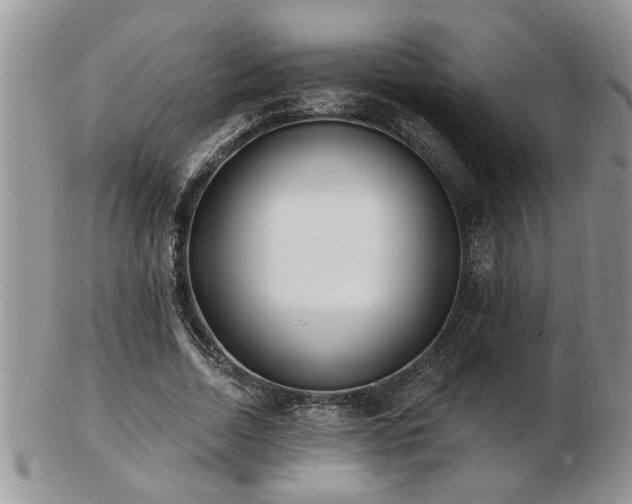 X0000103240730200808281440
