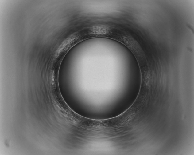 X0000103240731200808281440