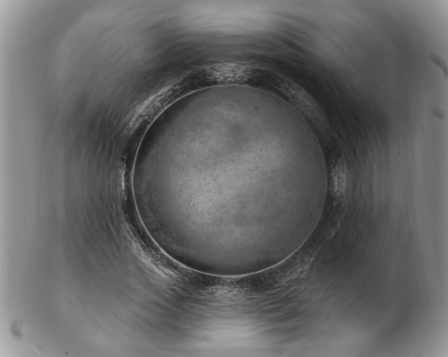 X0000103240733200808281440