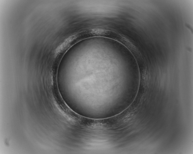 X0000103240734200808281440
