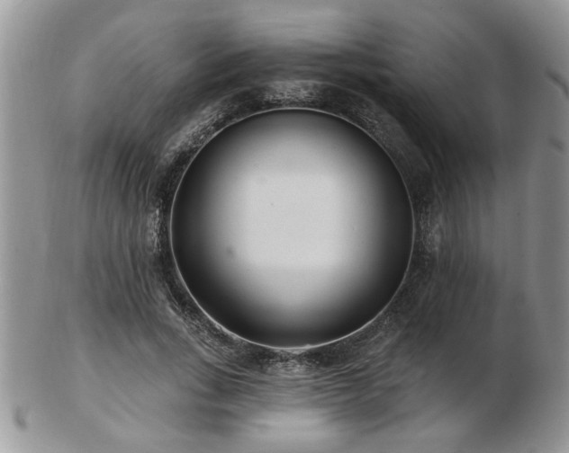 X0000103240735200808281440